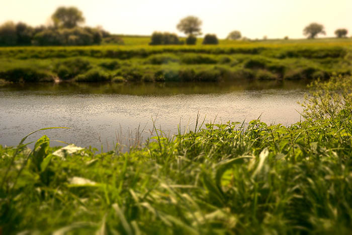 Creative Camera Modes by iPhotography.com