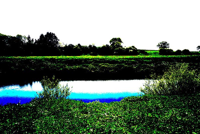 Creative Camera Modes by iPhotography.com