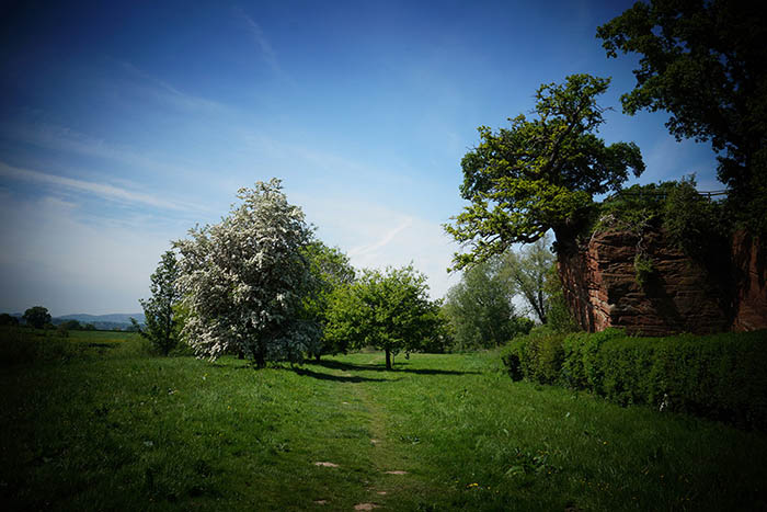 Creative Camera Modes by iPhotography.com