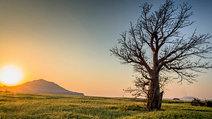 How to Give Photography Feedback - Tips by iPhotography.com