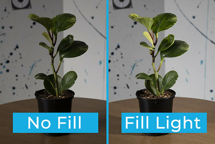 10 Ways to Use a Small Light with Lume Cube by iPhotography.com