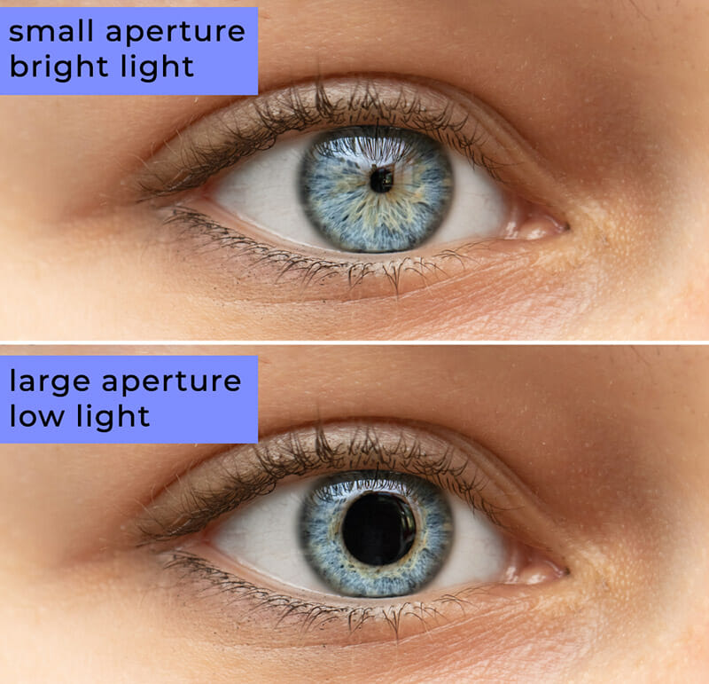 Use Your Eye Like a Camera by iPhotography.com