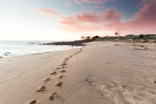 How to Develop Your Photography Style Guide by iPhotography.com