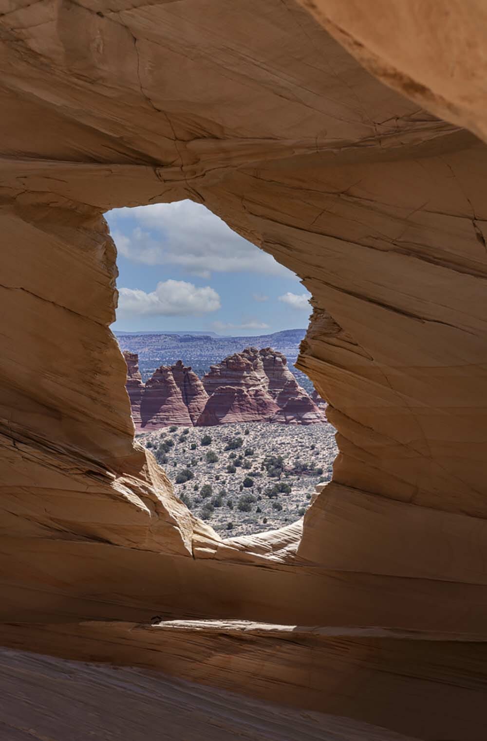 Image by Lori Myers (iPhotography Student)