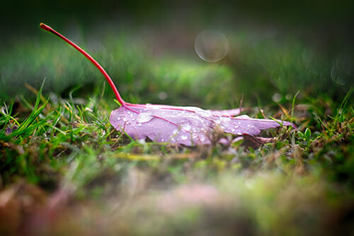 How to Tell a Story in a Photography by iPhotography.com