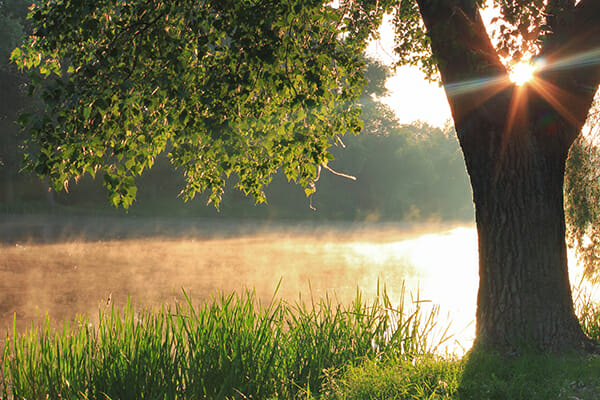 spring photography tips misty river 3