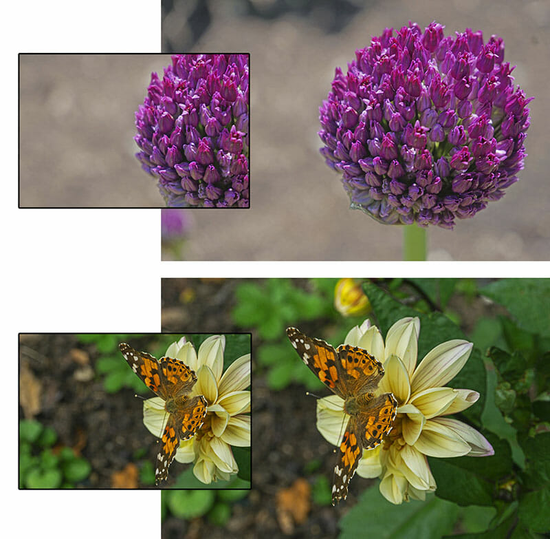 Creative Crops for Photographers by iPhotography.com
