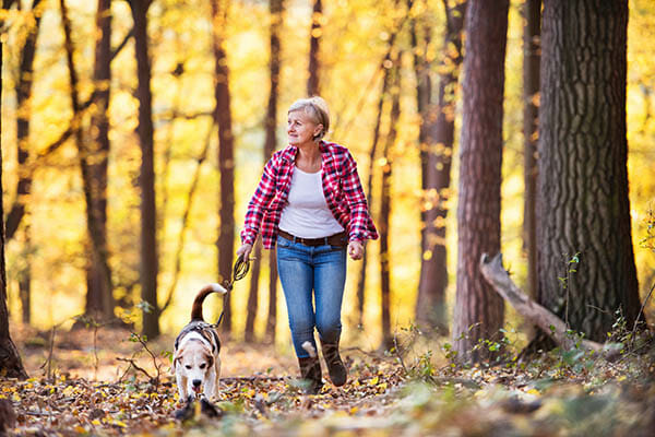 Pet Photography Tips by iPhotography.com