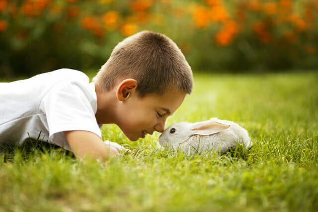 Pet Photography Tips by iPhotography.com