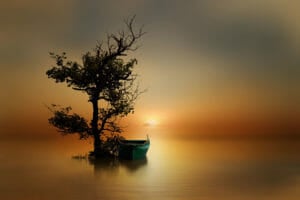 Fine Art Photography Tutorial by iPhotography.com