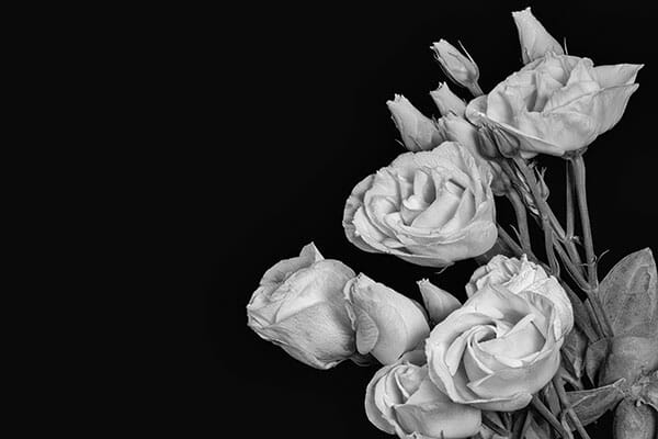 Black and White Photography by iPhotography.com