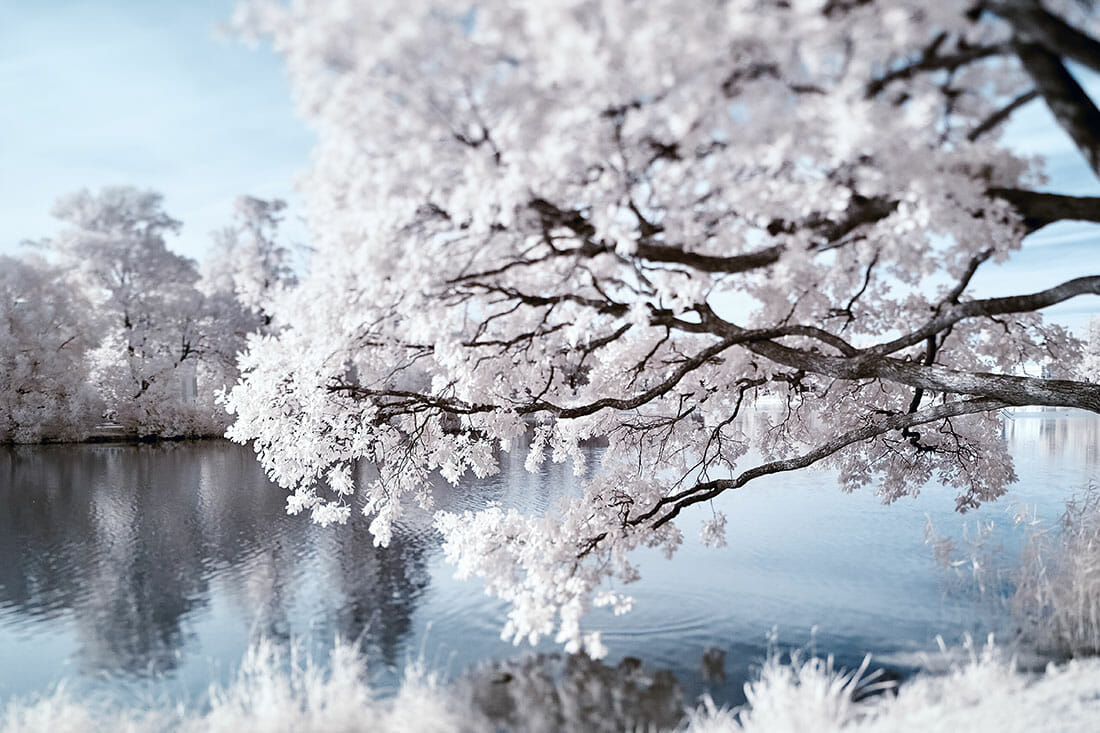 Infrared Photography Tutorial
