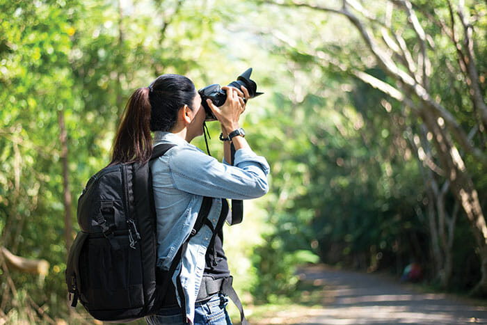 nature photography tutorial