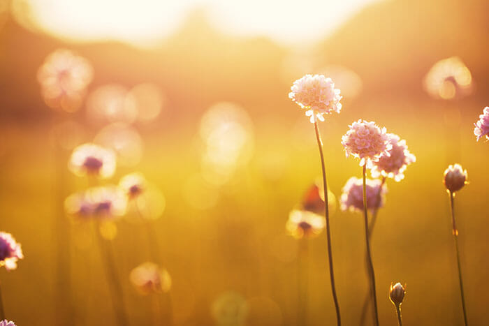nature photography tutorial