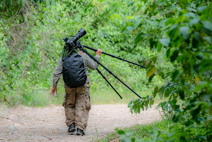 Wildlife Photography Tips by iPhotography.com