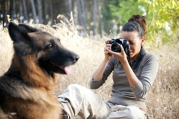 Wildlife Photography Tips