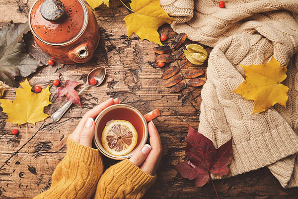 autumn fall photography tips by iphotography.com