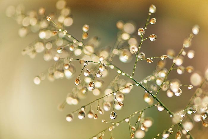 nature photography tips by iphotography.com