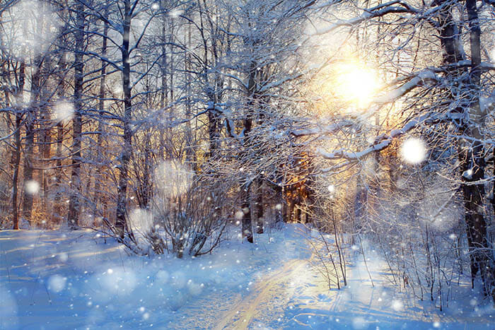 11 Snow Photography Tips by iPhotography.com