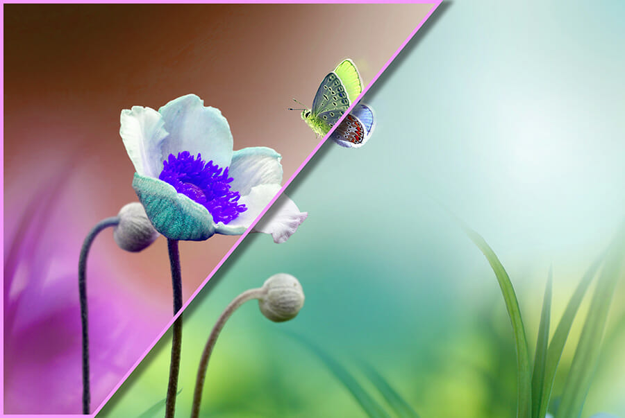 Affinity Photo for Desktop Introduction Course for Beginners by iPhotography.com