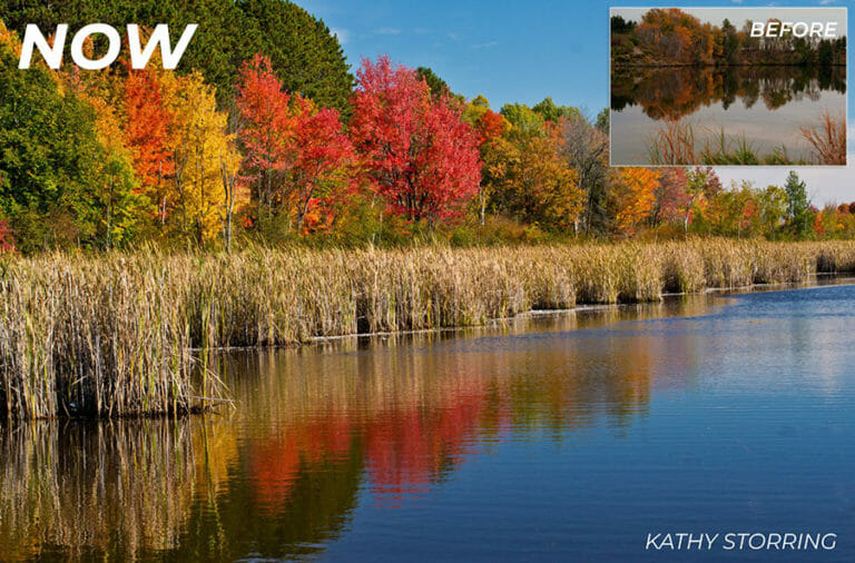 Landscape Before and After Advert 1