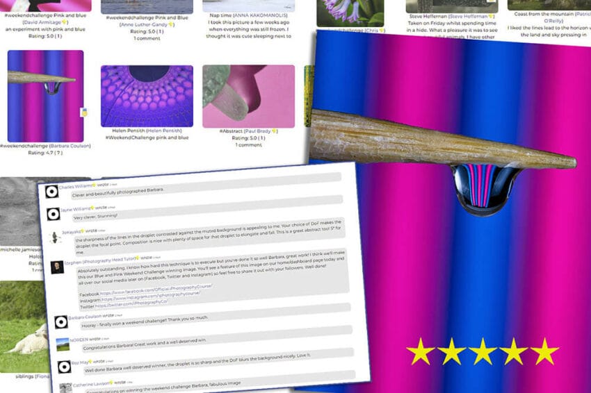 iPhotography Gallery Feedback for Beginner Photographers