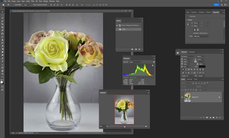 Screenshot of Adobe Photoshop with a picture of a vase of flowers on screen