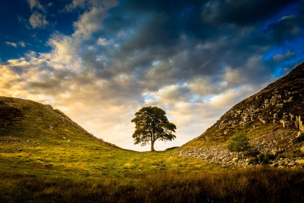 Sycamore gap light clouds
