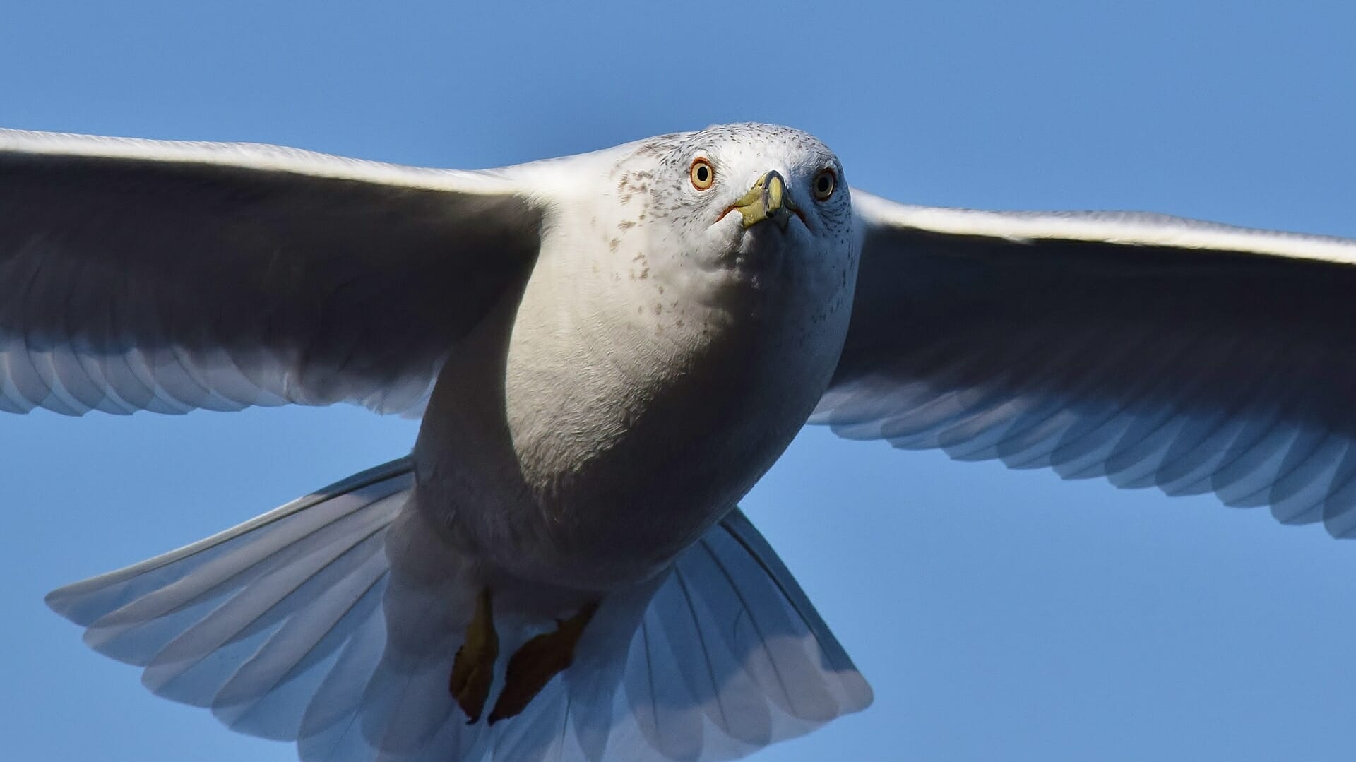 Image by Craig Bryant