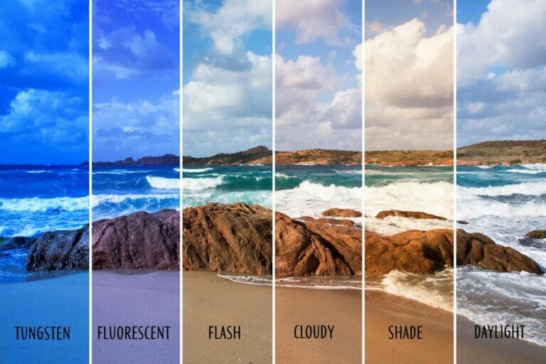Mastering White Balance: Your Key to Vibrant Photo Colours
