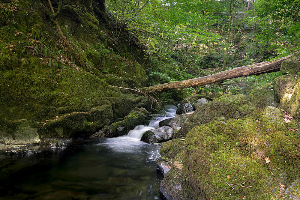 Waterfall