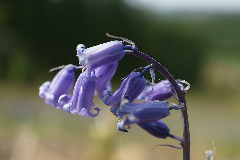 Image: Photo taken at F/3.5