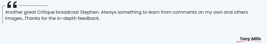 Critique Feedback Quote 1