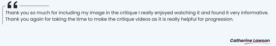 Critique Feedback Quote 2