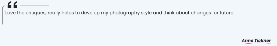 Critique Feedback Quote 3