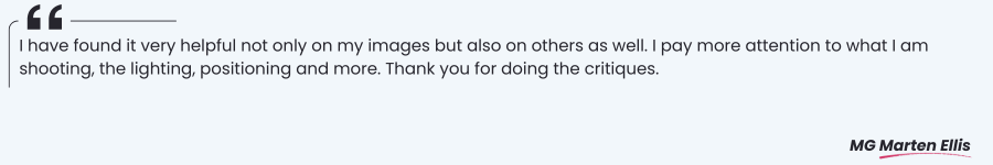 Critique Feedback Quote 6