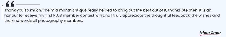 Critique Feedback Quote 8