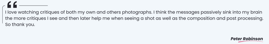 Critique Feedback Quote 9