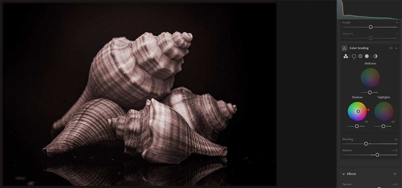 Black and White Split Toning in Lightroom