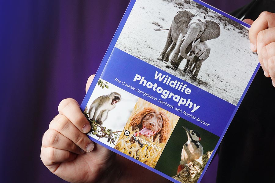 Wildlife Photography: The Complete Guide &mdash; the iPhotography Wildlife course as a full-colour book.